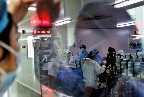 拼多多新品牌计划 5年孵化50个亿级国货美妆品牌