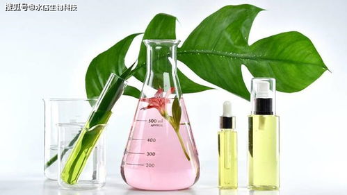 马齿苋提取物在护肤品与化妆品中的优势与适用性